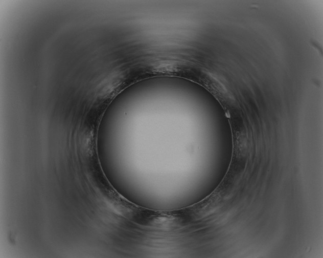X0000092320364200709141055