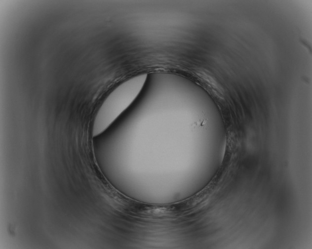 X0000092320365200709141055