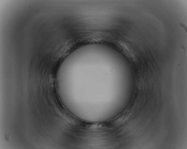 X0000092320366200709141055