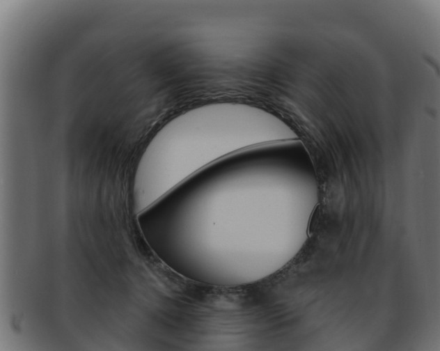 X0000092320368200709141055