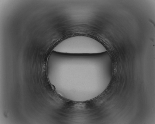 X0000092320369200709141055