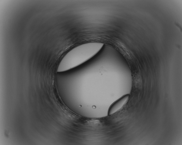 X0000092320374200709141055