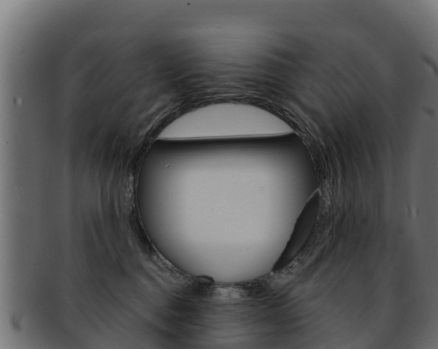 X0000092320376200709141055