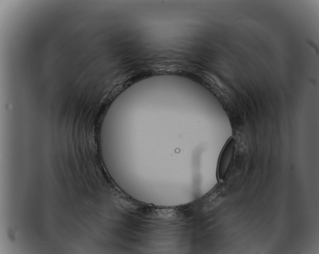 X0000092320377200709141055