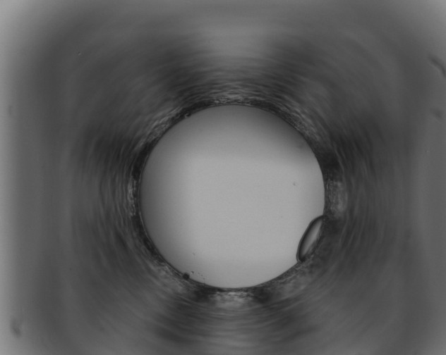 X0000092320378200709141055
