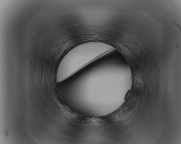 X0000092320379200709141055