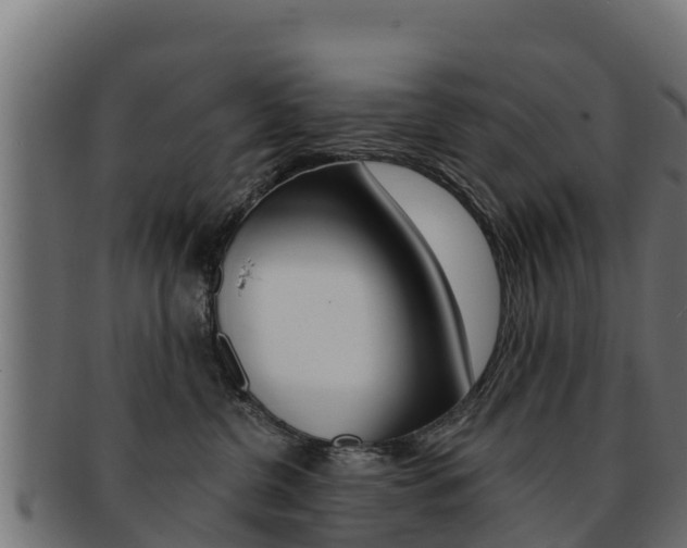 X0000092320380200709141055