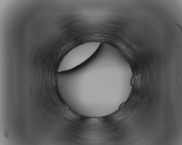 X0000092320381200709141055