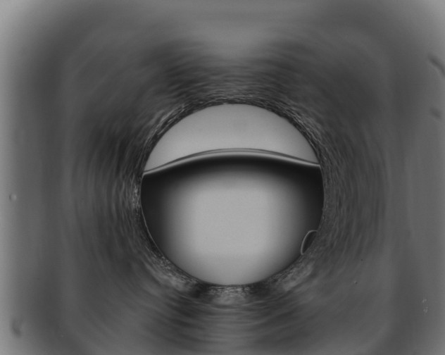 X0000092320384200709141055