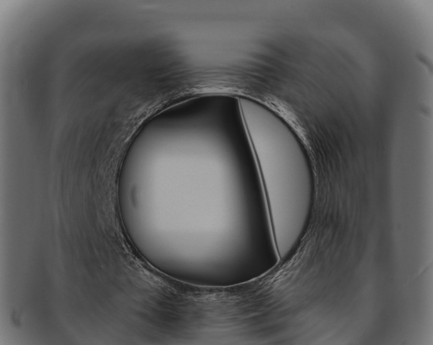 X0000092320385200709141055