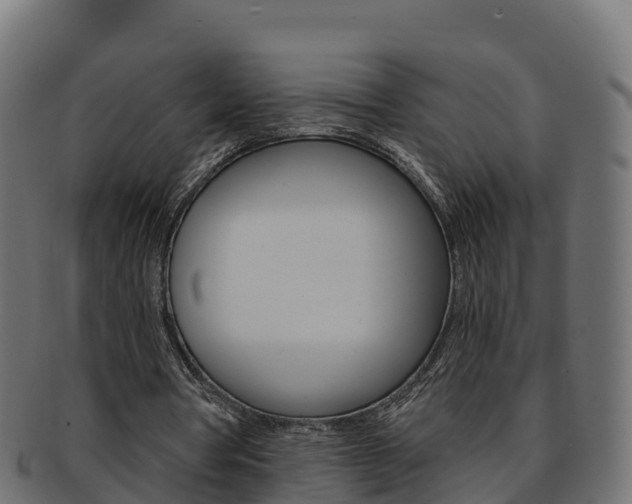 X0000092320386200709141055