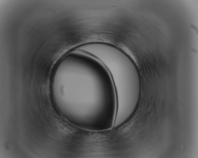 X0000092320387200709141055