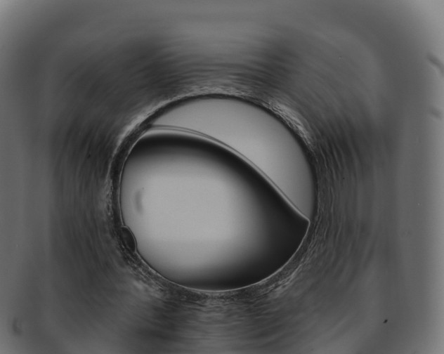 X0000092320388200709141055