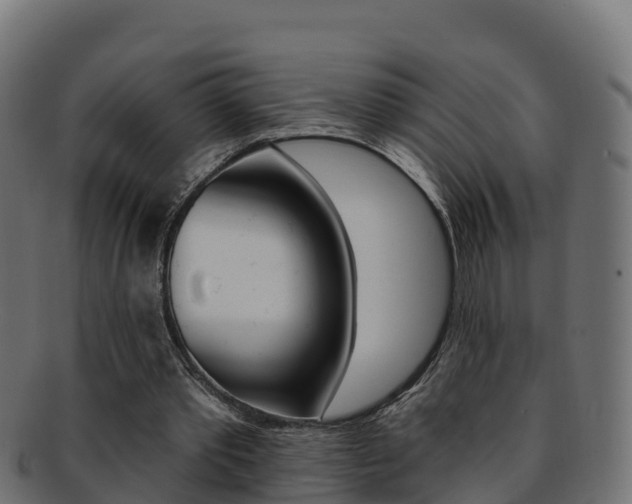 X0000092320389200709141055