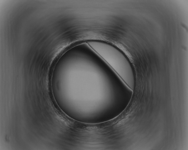 X0000092320391200709141055