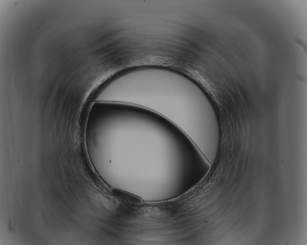 X0000092320392200709141055