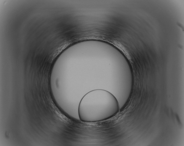 X0000092320393200709141055