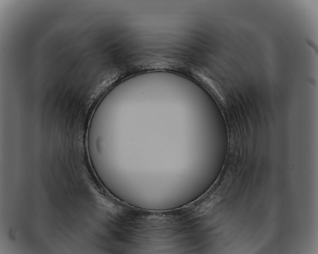 X0000092320394200709141055