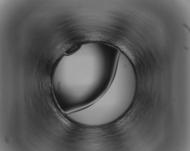 X0000092320397200709141055