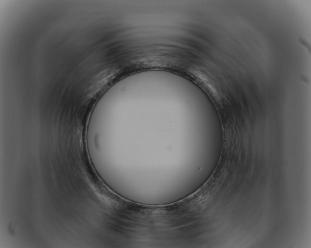 X0000092320398200709141055