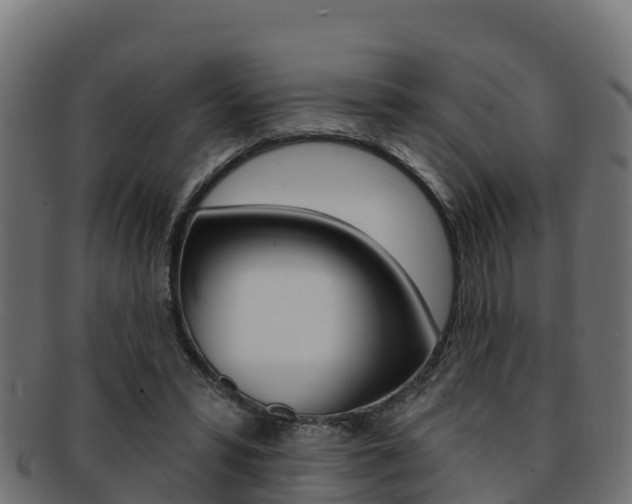 X0000092320399200709141055