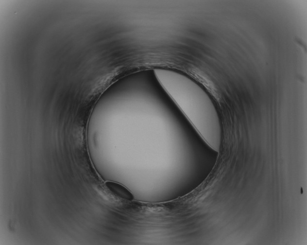 X0000092320401200709141055