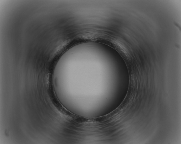 X0000092320404200709141054