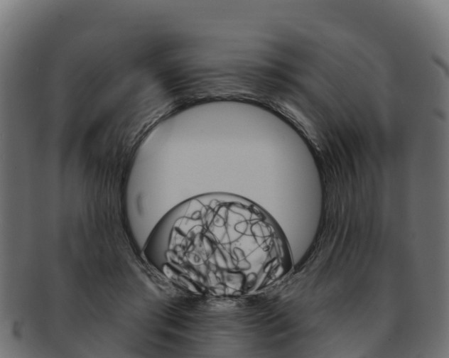 X0000092320405200709141054