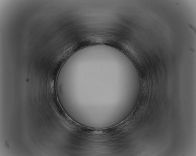 X0000092320406200709141054