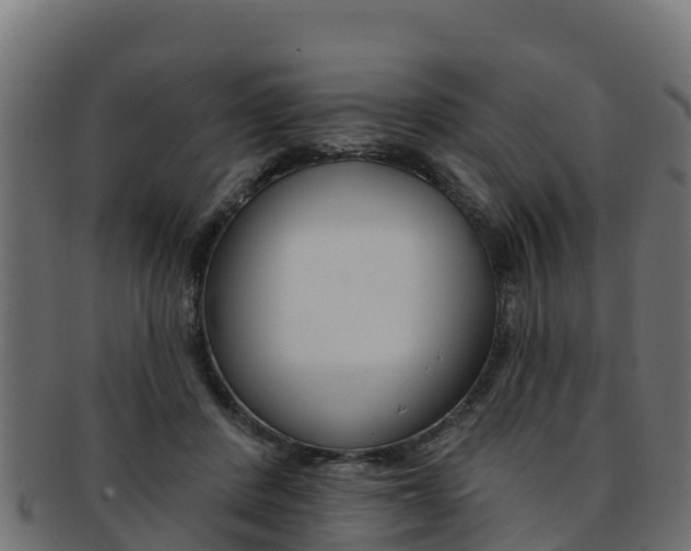X0000092320408200709141054