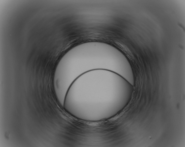 X0000092320409200709141054