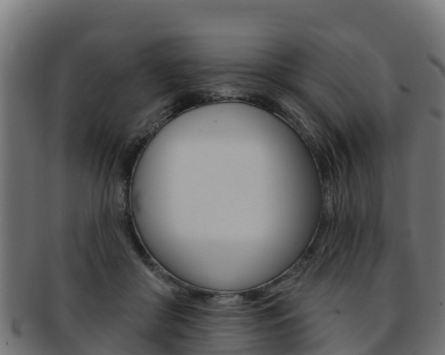 X0000092320410200709141054