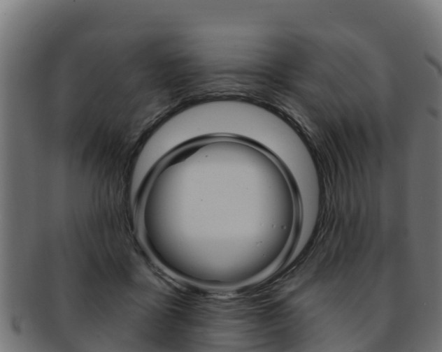 X0000092320411200709141054