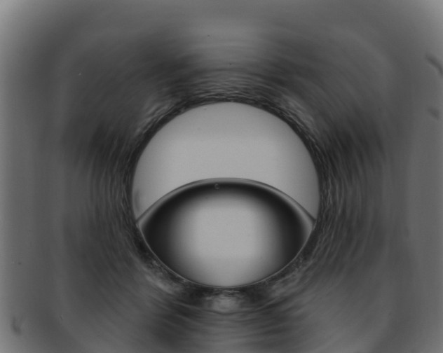 X0000092320412200709141054