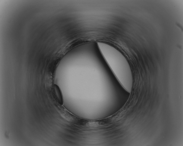 X0000092320413200709141054