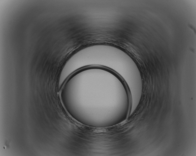 X0000092320415200709141054