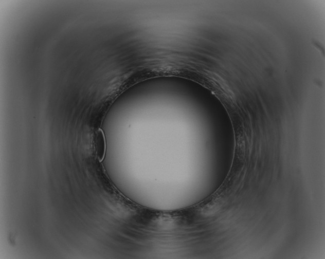 X0000092320416200709141054