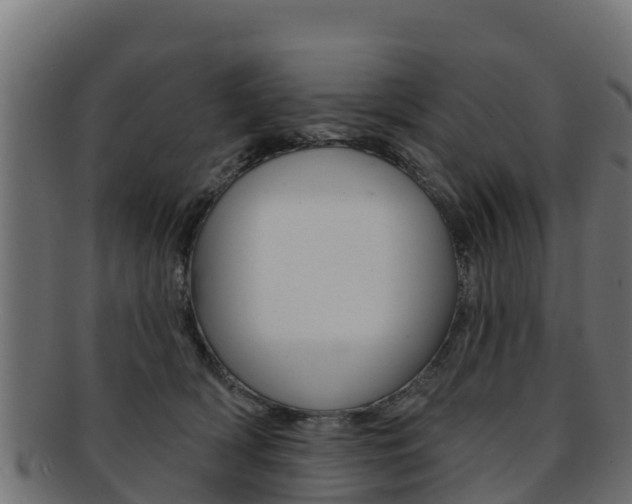 X0000092320418200709141054