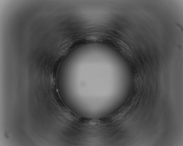 X0000092320420200709141054