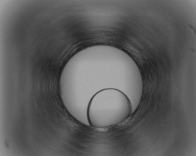X0000092320421200709141054