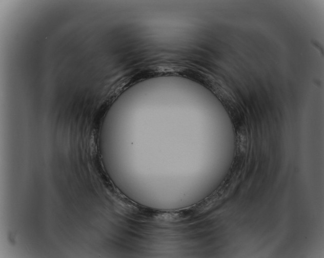 X0000092320422200709141054