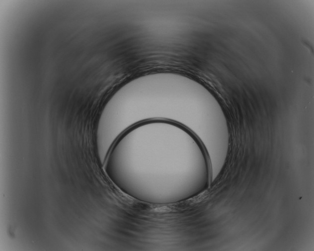 X0000092320423200709141054