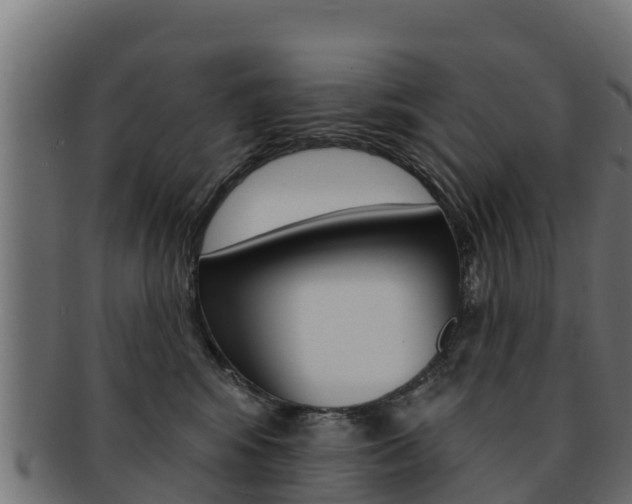 X0000092320424200709141054