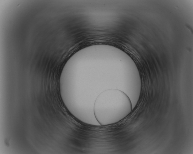 X0000092320425200709141054