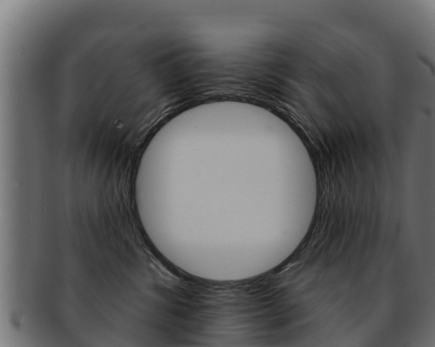 X0000092320428200709141054