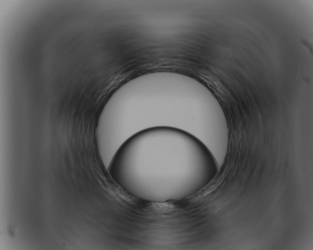 X0000092320429200709141054