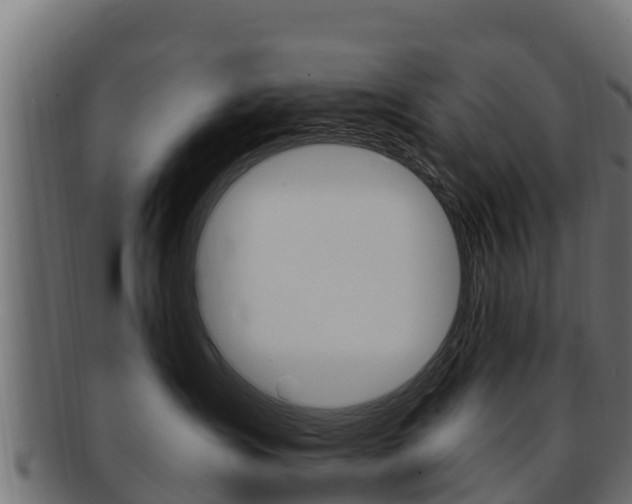 X0000092320431200709141054