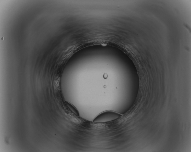 X0000092320432200709141054