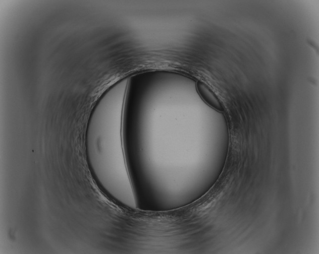 X0000092320433200709141053