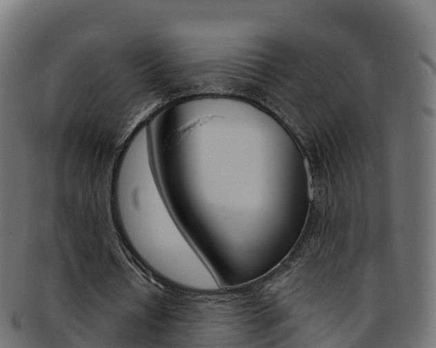 X0000092320434200709141053